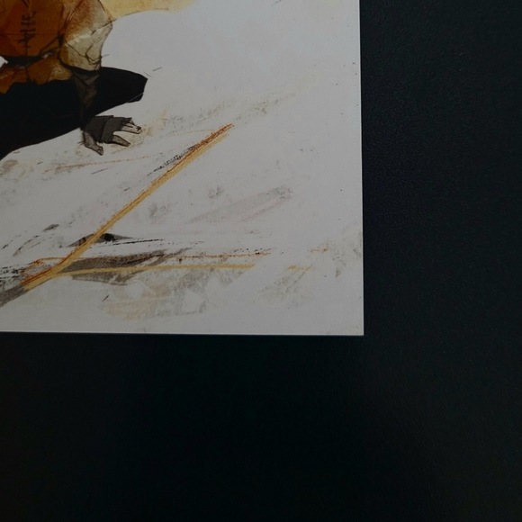 Triskele #1 - Picture 6 of 7